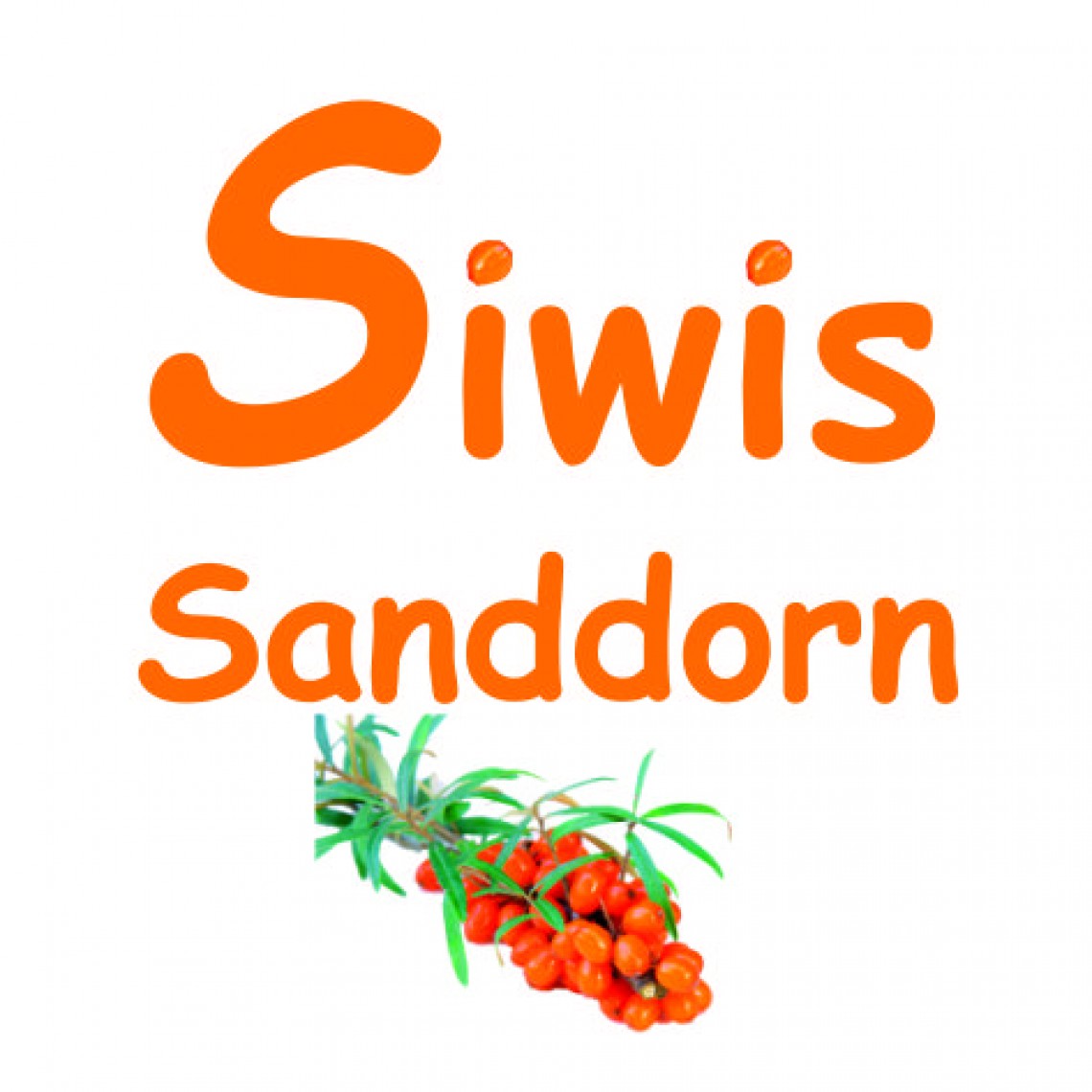 Siwis Sanddorn
