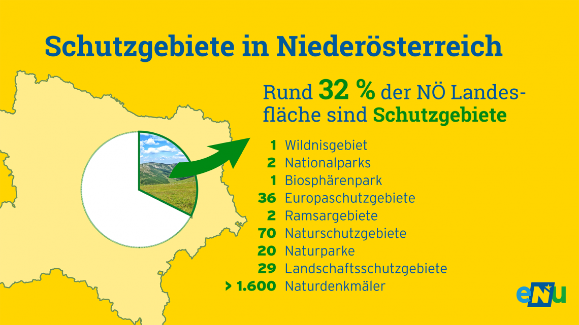 Infografik zu den Schutzgebieten in Niederösterreich: Rund 32 % der niederösterreichischen Landesfläche sind Schutzgebiete.