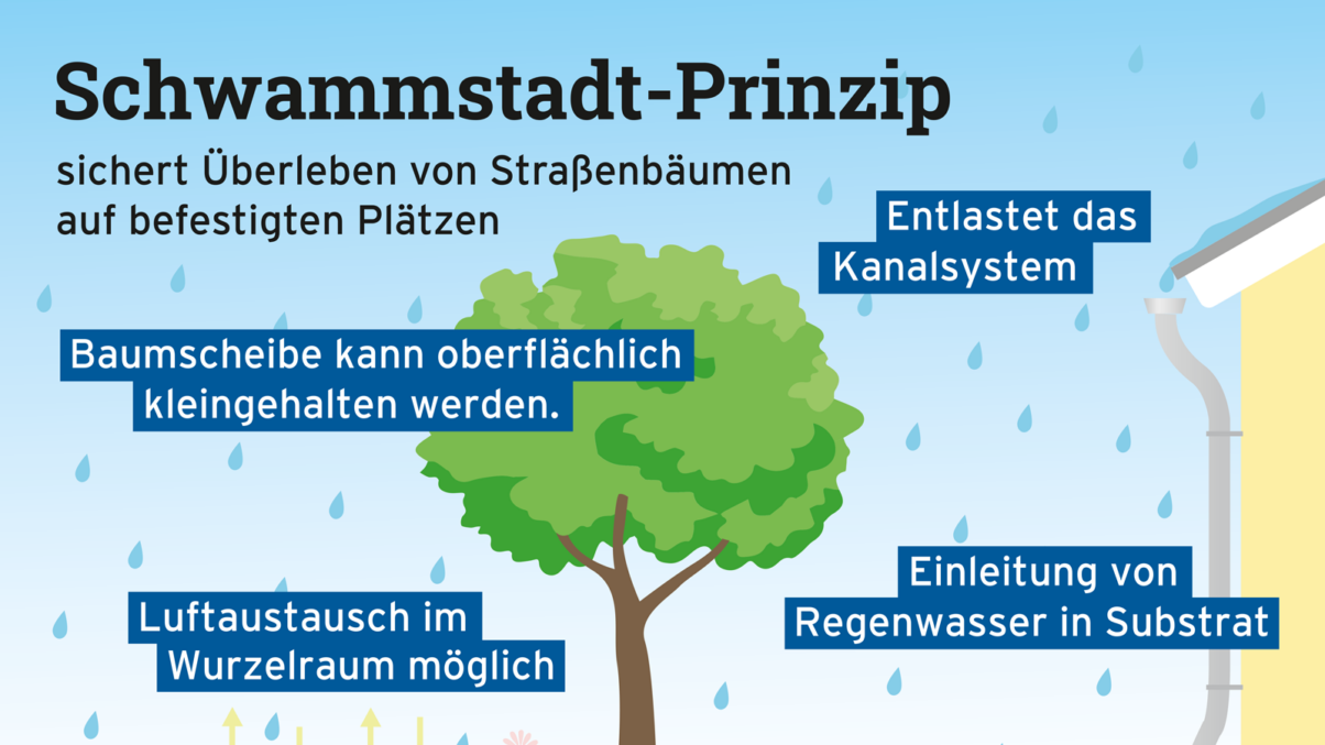 Wenn der Niederschlag vor Ort gespeichert werden kann, bringt das viele Vorteile.
