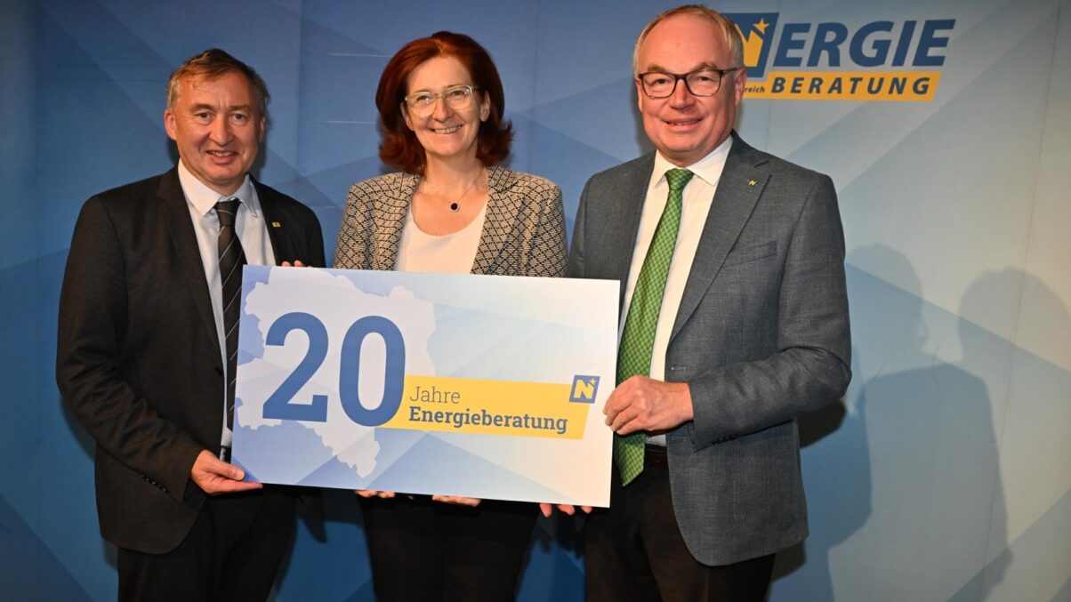 Im Rahmen der Fachveranstaltung zu 20 Jahre Energieberatung stellte Uni. Prof. Sigrid Stagl ihre Studie zur ökonomischen Wirksamkeit vor.