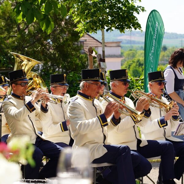 Musikkapelle bei der Eröffnungsfeier des "Haus der Region Weinviertel"