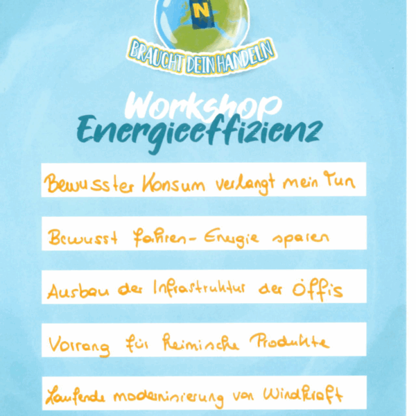 Ergebnisse der 1. NÖ Jugendklimakonferenz zum Thema "Ernergieeffizienz".