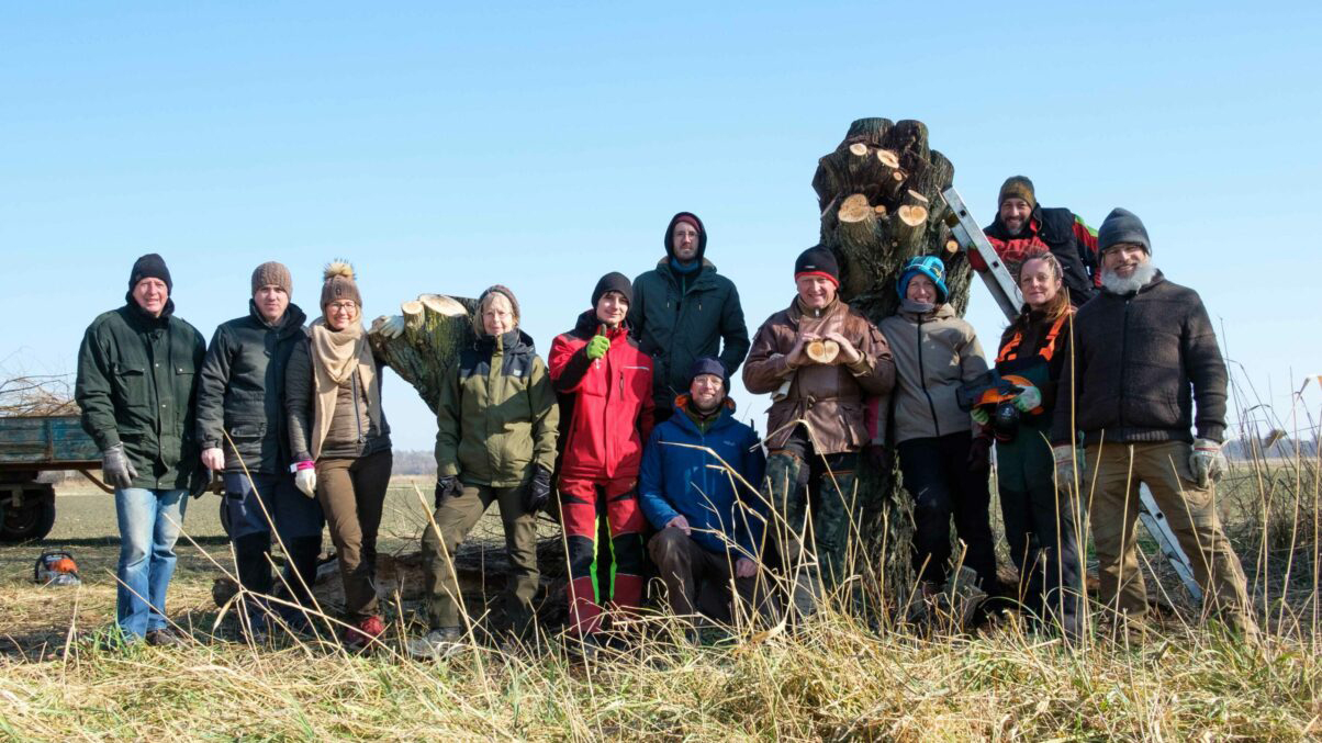 Gruppenbild beim Workshop zur Kopfweiden-Pflege in Bernhardsthal