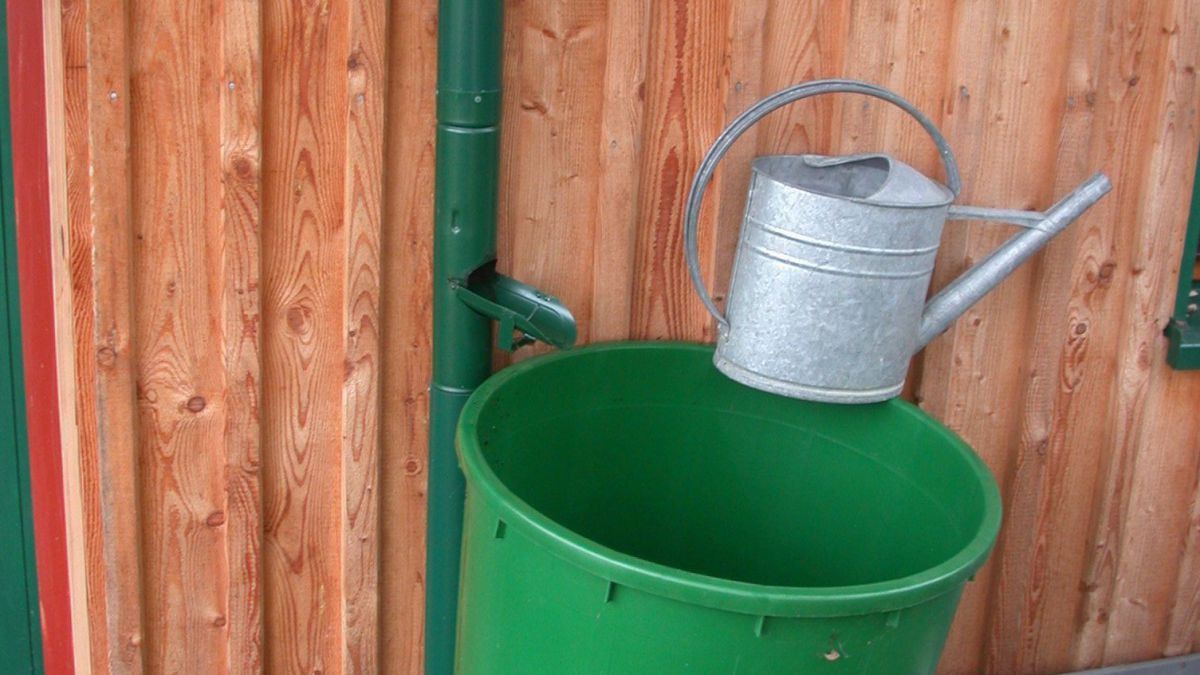 Mit Gießkannen und Speichertonnen kann das Regenwasser sinnvoll genutzt werden.