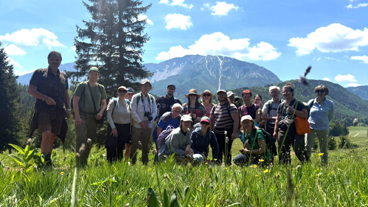 Die Exkursionsgruppe vor dem Schneeberg