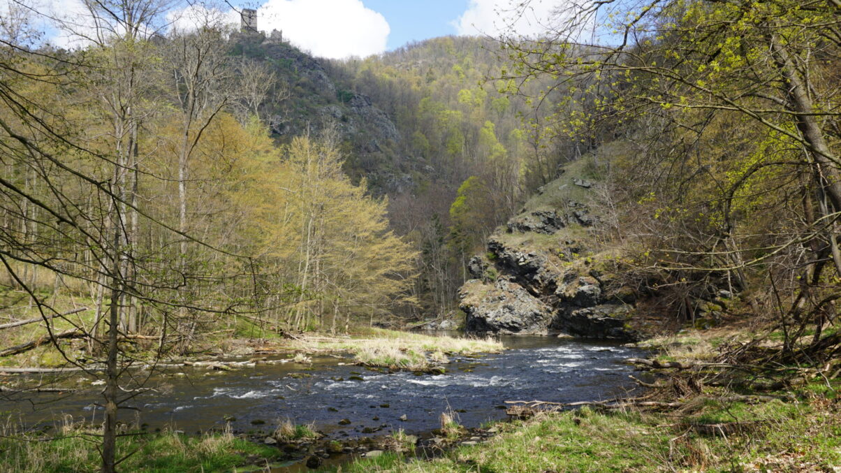 Die Kampschlucht bei der Ruine Schauenstein ist ein Naturjuwel.
