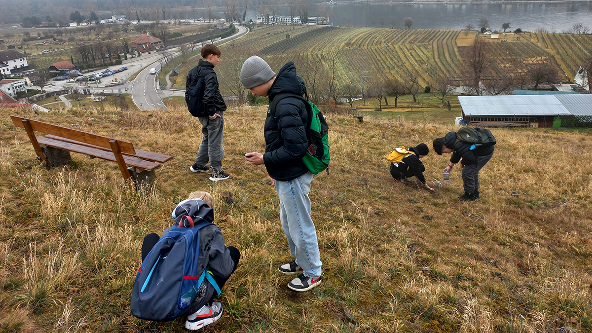 Schüler beim Kuhschellenmonitoring.
