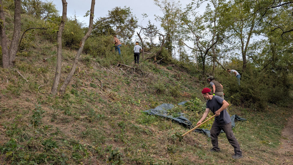 Die freiwilligen Helferinnen und Helfer beim Pflegeeinsatz.