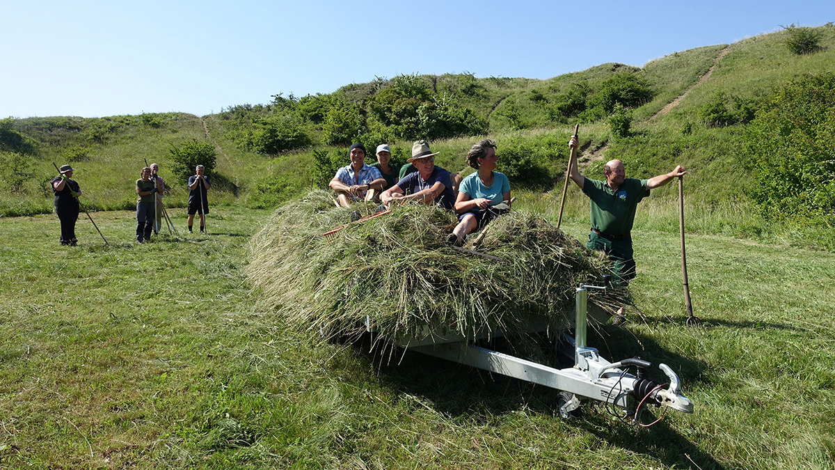 Teilnehmerinnen und Teilnehmer beim Pflegeeinsatz am Waschberg