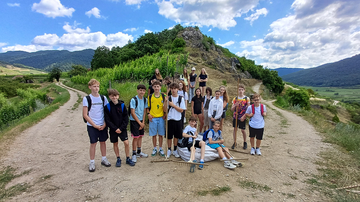 Schülerinnen und Schüler beim Pflegeeinsatz am Spitzer Burgberg.