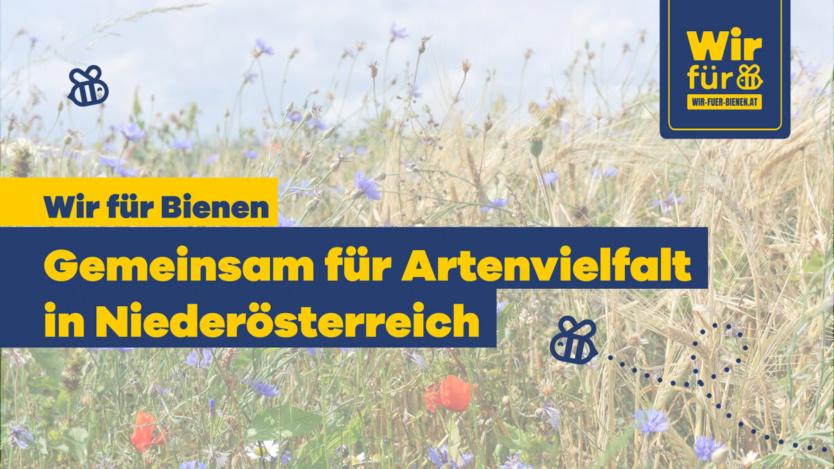 Sujet zur Initiative Wir für Bienen