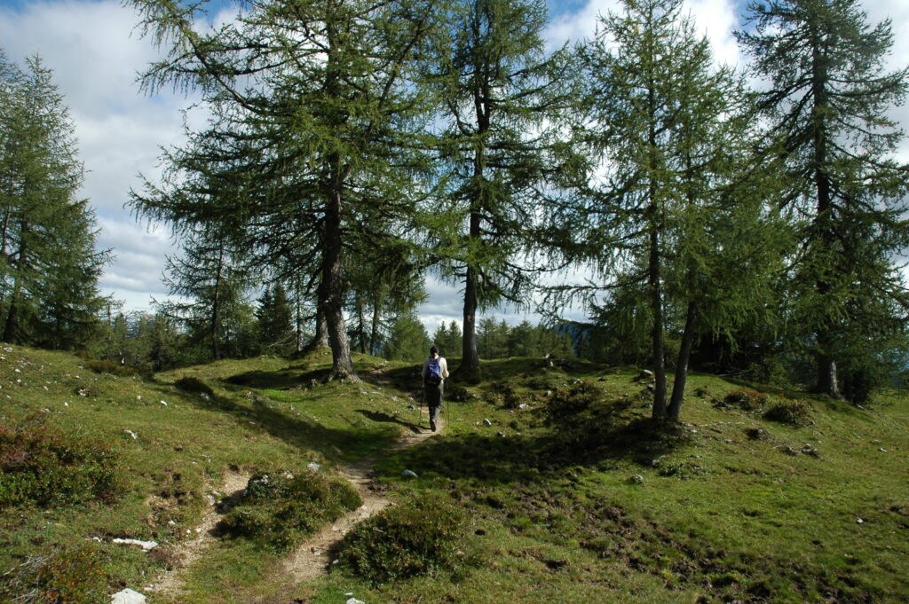 Frau beim Wandern in der Natur.