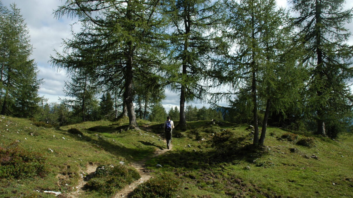 Frau beim Wandern in der Natur.