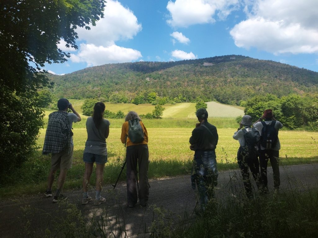 Wandergruppe von 6 Personen beim Beobachten der Ziesel auf einer gemähten Wiese.