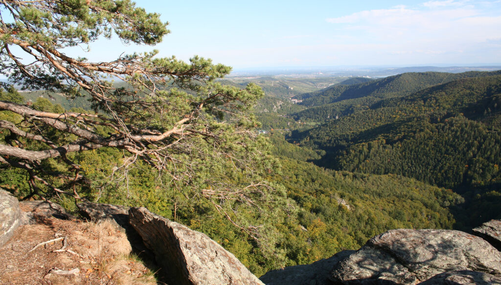 Blick in das Kremstal